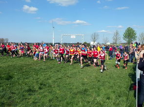 乐鱼app下载-青少年体育活动参与动力分析，青少年的体育活动