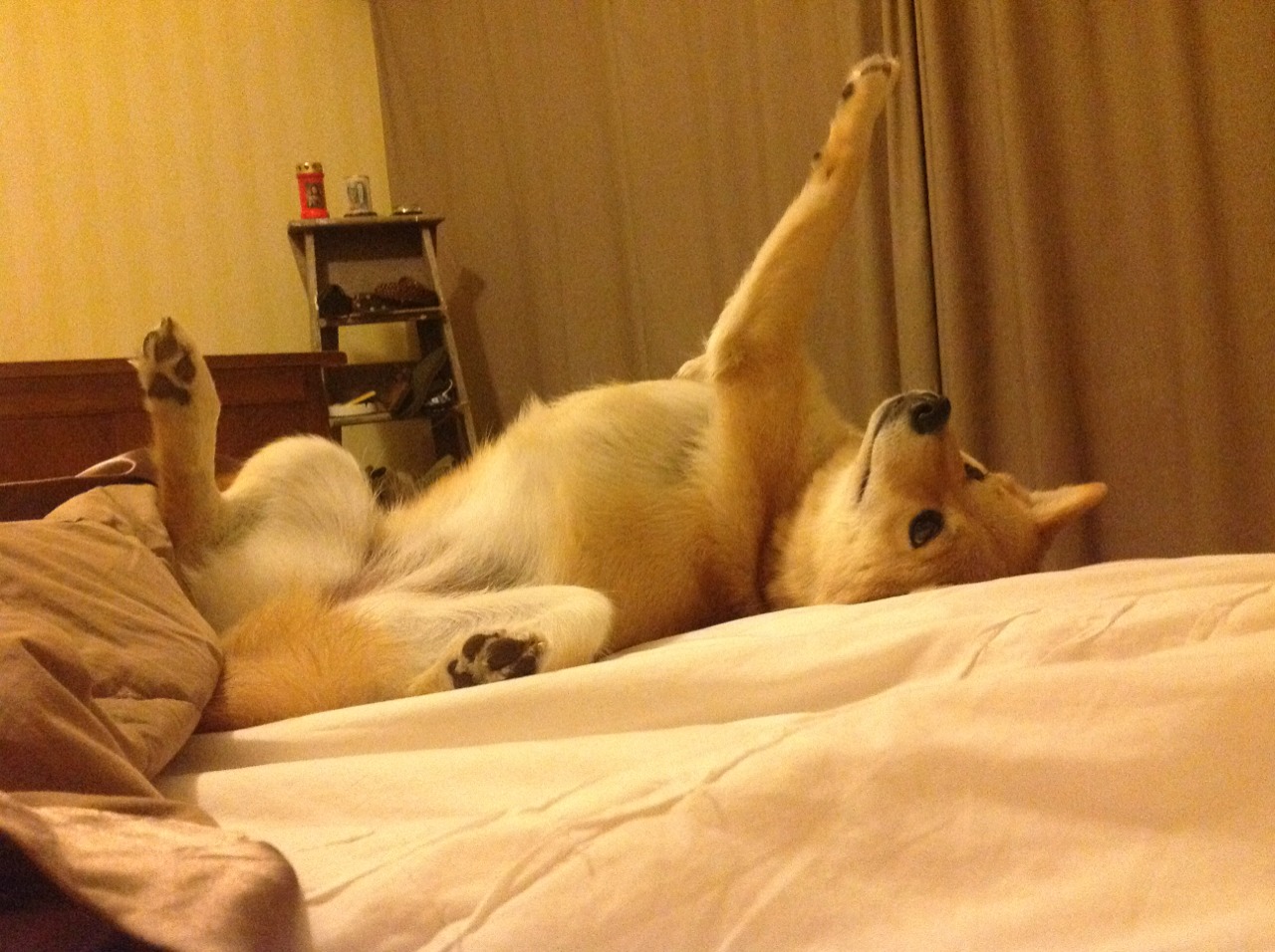 中国女篮注重防守纪律，中国女篮打球