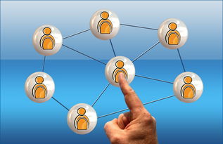 乐鱼体育官网下载-体育新闻中心联合高校开展体育传媒创新创业大赛，体育产业创新创业大赛