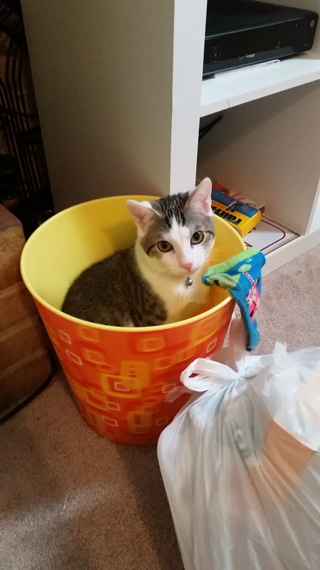 乐鱼体育在线网站-埃弗顿反击效率提高保级希望重燃，埃弗顿强吗