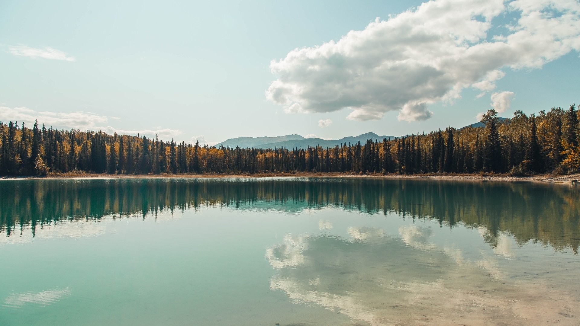 年轻化升级计划推动拜仁战力提升，拜仁青训小将
