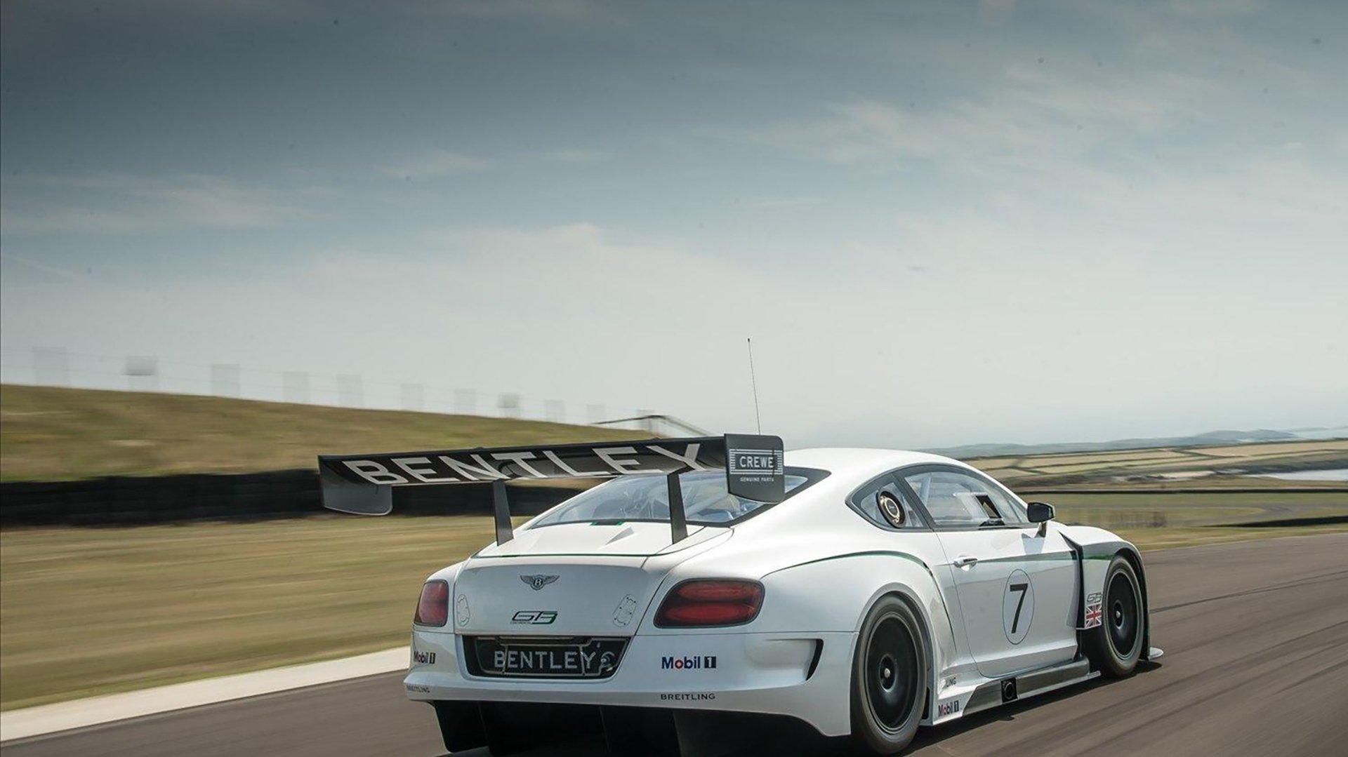 浙江雄狮注重节奏变化打出多段高潮，浙江雄狮服务队