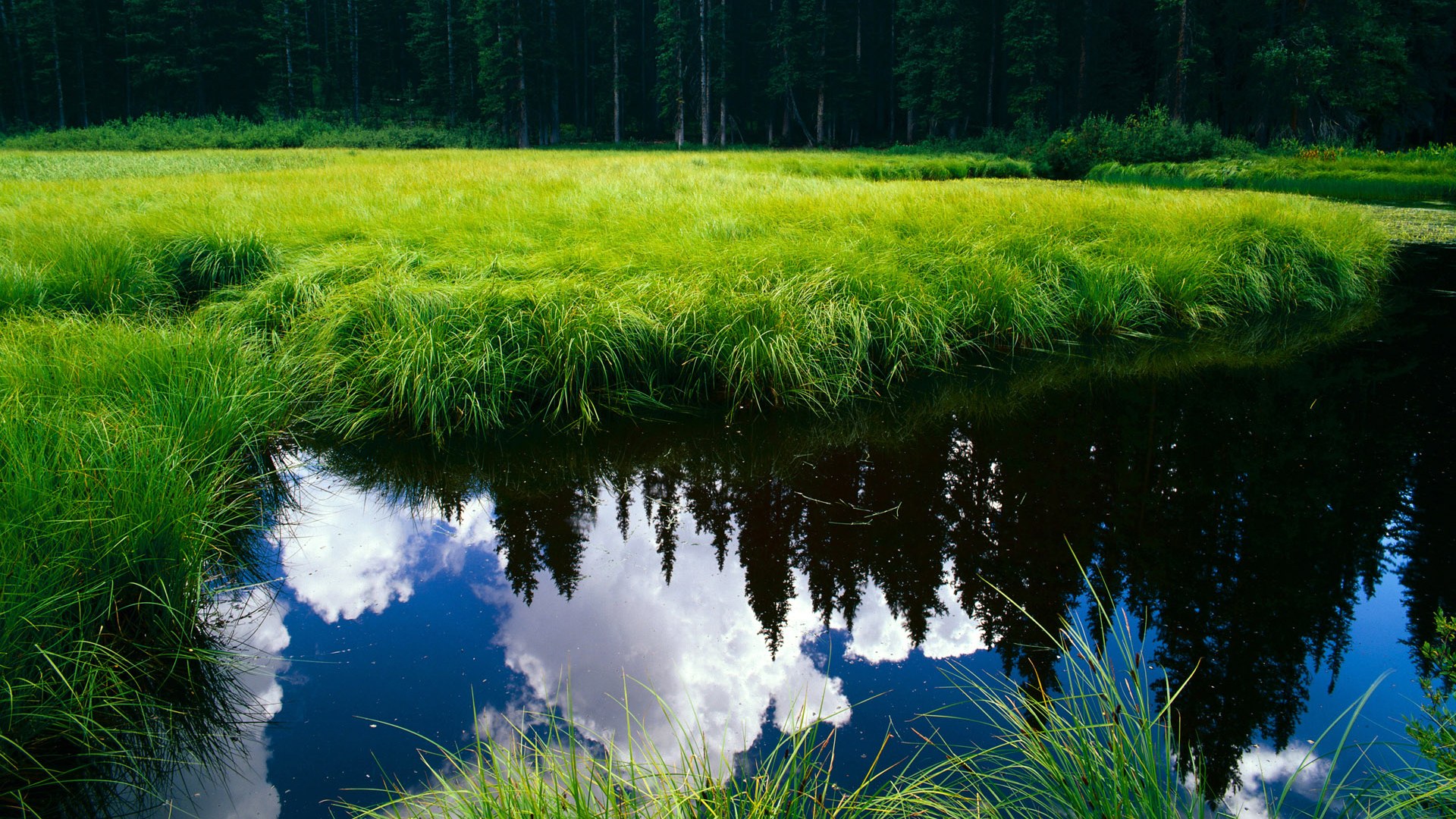 乐鱼体育在线登陆-浙江对阵辽宁CBA四强对决引爆期待
