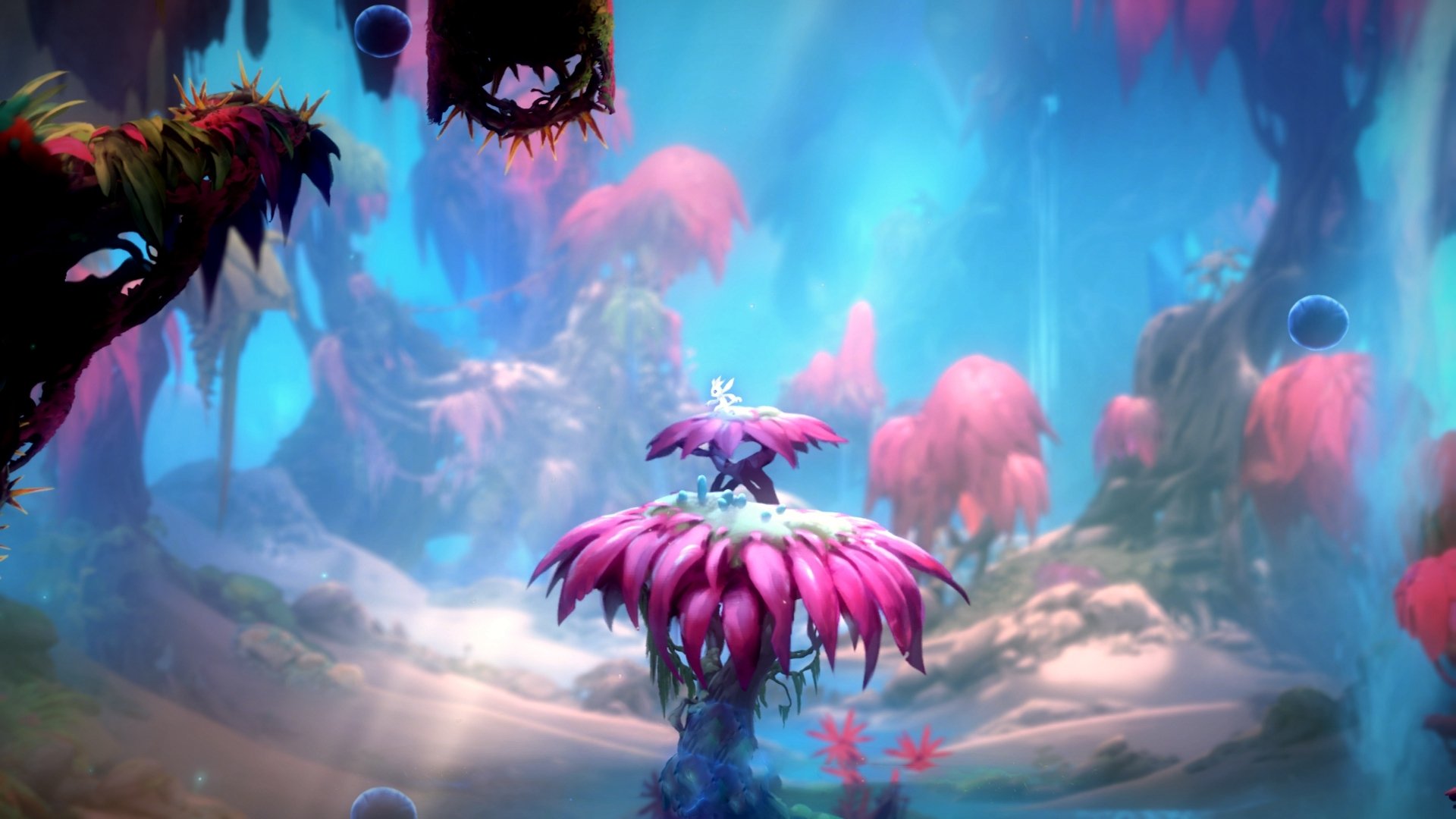 南非羚羊队：通过精准的战术布局，他们在比赛中屡屡创造突破，南非羚羊图片