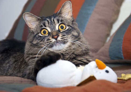 吉尔吉斯斯坦男篮在国际比赛中展现实力，未来值得期待