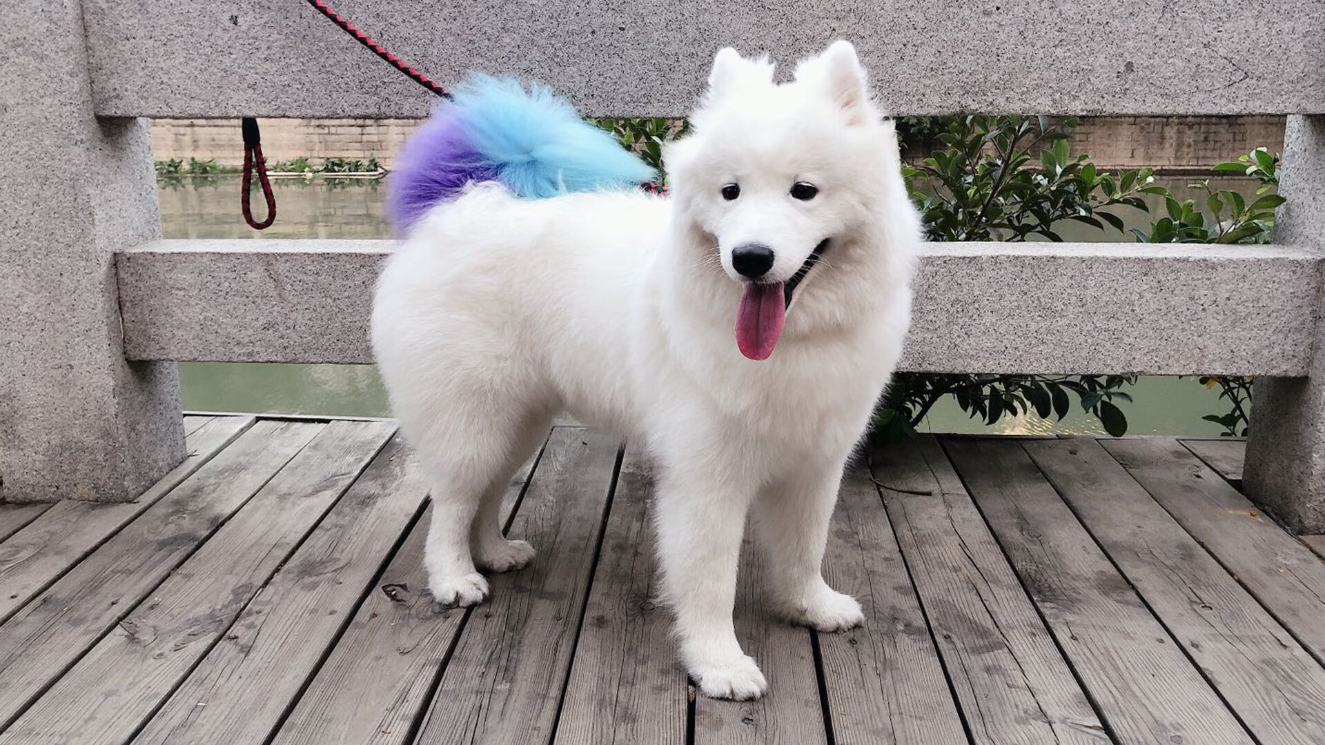 吉尔吉斯斯坦男篮在国际比赛中展现实力，未来值得期待